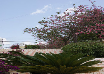 1 (189) 云南新兴职业学院2019年职业中专招生介绍