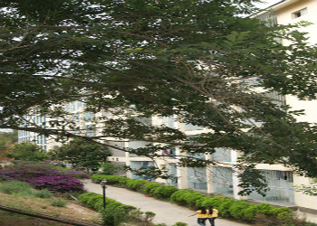 1 (19) 云南新兴职业学校2019年职业中专招生简章