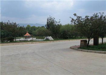 1 (140) 云南商务学院2019年初中起点大学招生简章