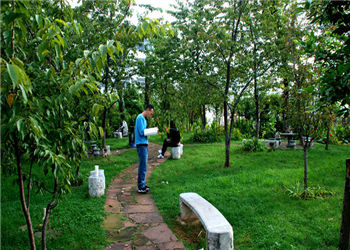 1-160426005Z2Y9 云南南方青年进修学院2019年五年制普通大专报名电话