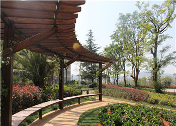 1 (18) 云南交通职业学校2019年五年制普通专科招生信息