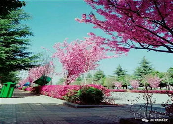 1 (232) 曲靖财经学校2019年五年制大专招生设置