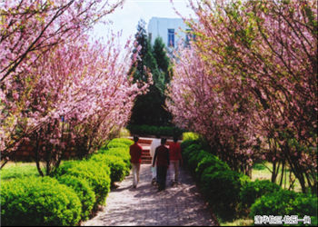 12 (15) 云南冶金高等专科学校2018年五年一贯制大专新增专业