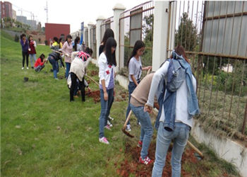 20140619021925574 云南外事外语职业学院2019年三年制普通中专计划内招生