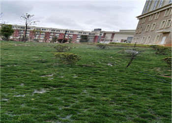 20160325121438471 云南外事外语职业学院2019年三年制普通中专招生计划