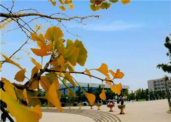 2017 (205) 云南工商学院2018年五年制大专招生章程