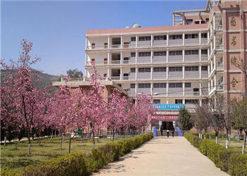 324 (233) 昆明卫生职业学院2019年五年一贯制大专重点特色专业