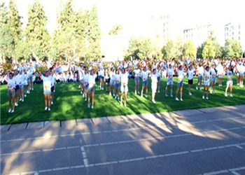 324 (267) 昆明卫生职业学院2019年五年一贯制大专计划招生专业