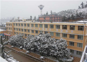 8111210415 云南林业技工学校2019年中专招生专业信息