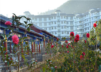 1 (113) 昆明卫生学院2019年五年制大专招生对象