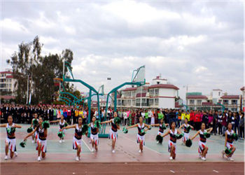 1 (212) 云南林业职业技术学院2019年五年制招生设置