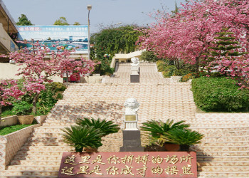 1 (17) 云南新兴职业学院2019年五年制大专最新招生信息