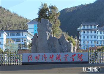 1 (32) 昆明卫生职业学院2019年五年制大专秋季招生计划