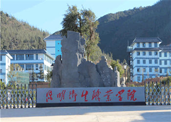 0 昆明卫生职业学校2019年五年一贯制大专报名要求