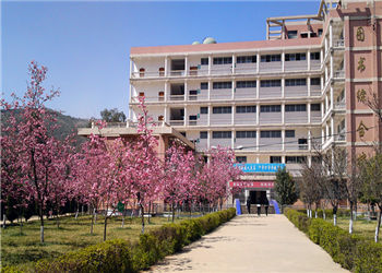 1 (72) 昆明市卫生职业学院2019年普通中专招生报名信息