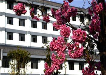 1 (76) 昆明骨伤科中等专业学校2019年招生报名咨询电话