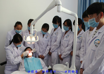 1 (107) 云南新兴职业学院2019年中专招生报名联系方式