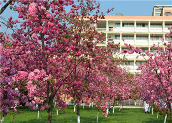 1 (17) 昆明卫生职业学院2019年普通中专招生专业简介