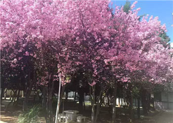 1 (26) 昆明市化工技工学校2019年普通中专报读须知