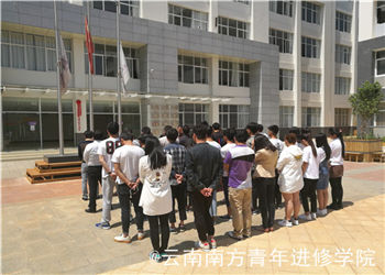 dav 云南南方青年进修学院2019年三年制录取分数线