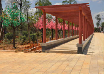 1 (51) 曲靖市麒麟职业技术学校2019年三年制中专招生计划表