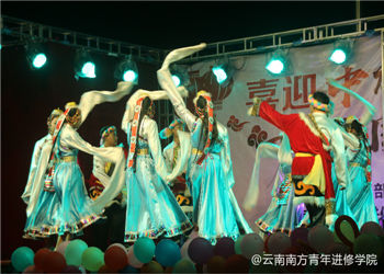 1 (71) 云南南方青年进修学院2019年三年制招生专业计划表