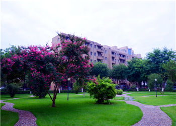 1 (7) 河北地质大学2019年云南成人高考招生章程