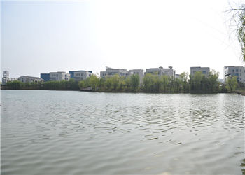 1 (87) 武汉理工大学云南函授站2019年招生专业