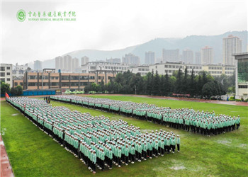 default 云南医药健康职业管理学院2019年五年制大专专业设置