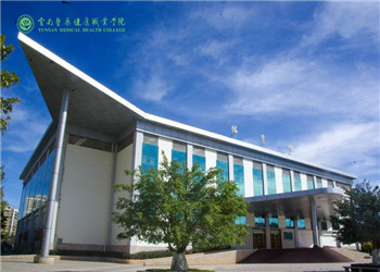 1 (6) 昆明医药职业学校五年制大专2019年计划内招生专业