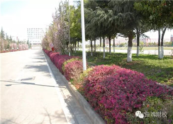 1 (155) 云南省曲靖市财经学校2020年报名地址