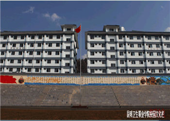 1 (27) 昆明骨伤科学校2020年初中起点分数线