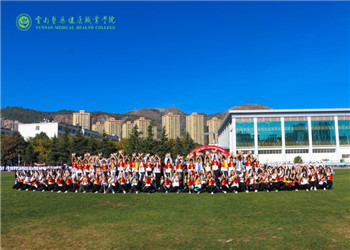 1 (38) 云南医药健康职业学院中专部2020年招生学费