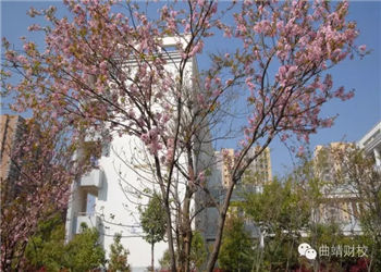 曲靖财经学校2021年三年制普通中专报名方法