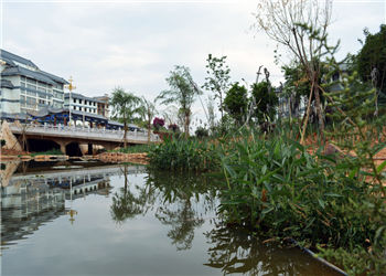 云南省骨伤科中等专业学校2021年普通中专代码是多少