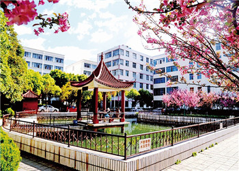 云南医药健康职业技术学院2021年特色招生计划