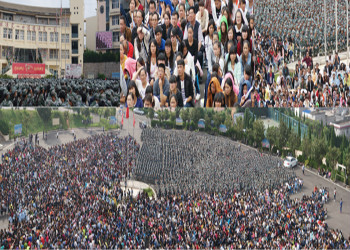 昆明新兴职业学院2021年中专分数线