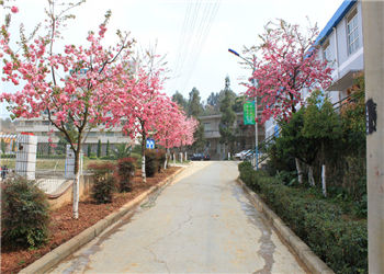 云南林业高级技工学校2021年特色招生信息