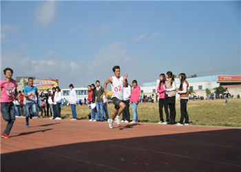 云南文山三鑫职业学院2021年三年制招生联系方式