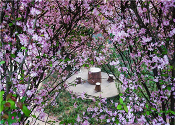 昆明交通运输职业学院2021年五年制大专简介