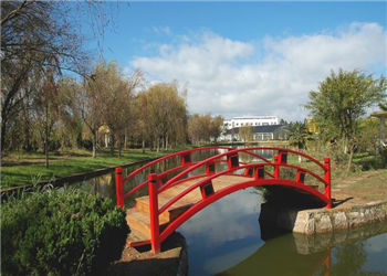 昆明艺术职业学院2021年普通中专分数线