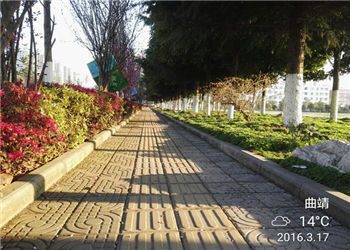 曲靖职业学院2022年五年制高职网上报名入口在哪