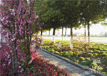 曲靖职业学院2022年五年制高职怎么网上填志愿