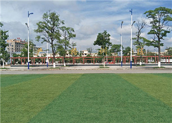 云南省曲靖护理学校2022年三年制中专志愿怎么报