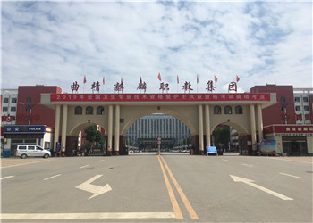 曲靖市体育运动学校2022年中专报名指南