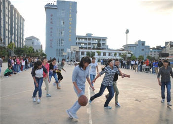 云南三鑫学校2022年普通中专有几门专业课