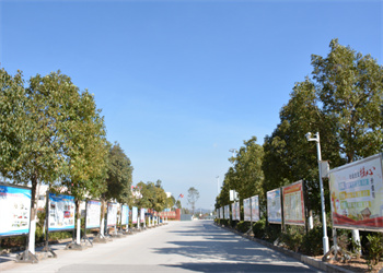 曲靖靖宁职业技术学校2022年普通中专报名流程