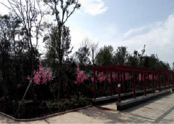 曲靖护理学校2023年如何报名五年制大专