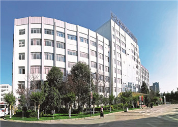 云南医药健康学校2023年五年制大专如何报名