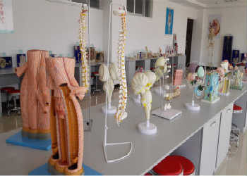 曲靖麒麟职业教育集团2023年三年制中专招生对象